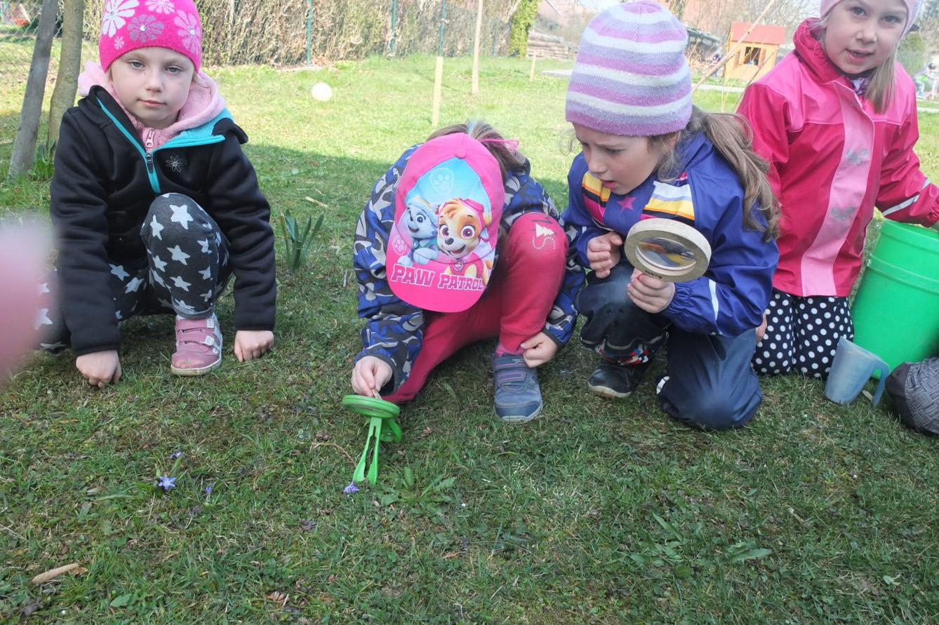 Sázení keříků s rodiči - 7