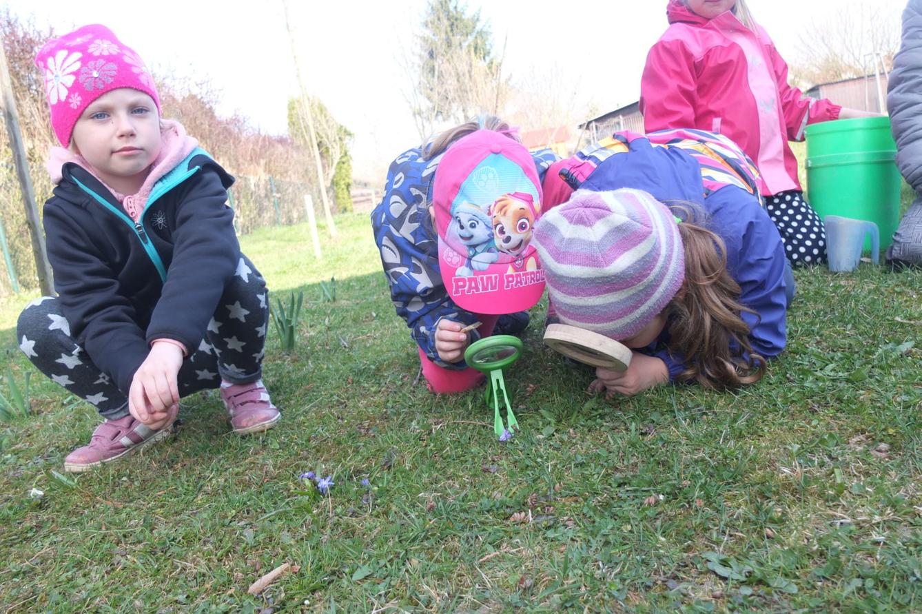 Sázení keříků s rodiči - 8