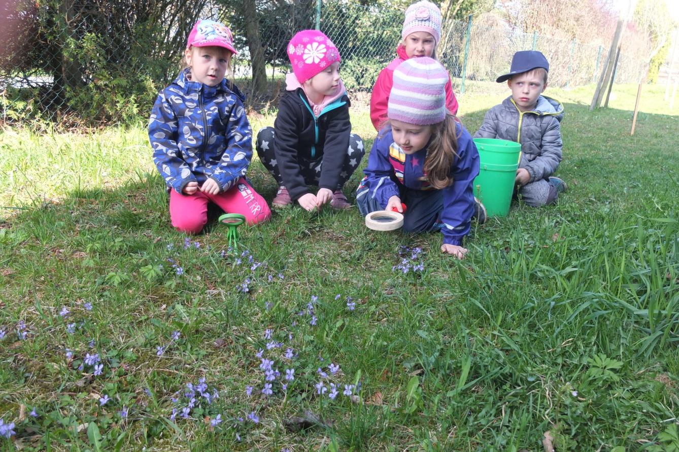 Sázení keříků s rodiči - 9