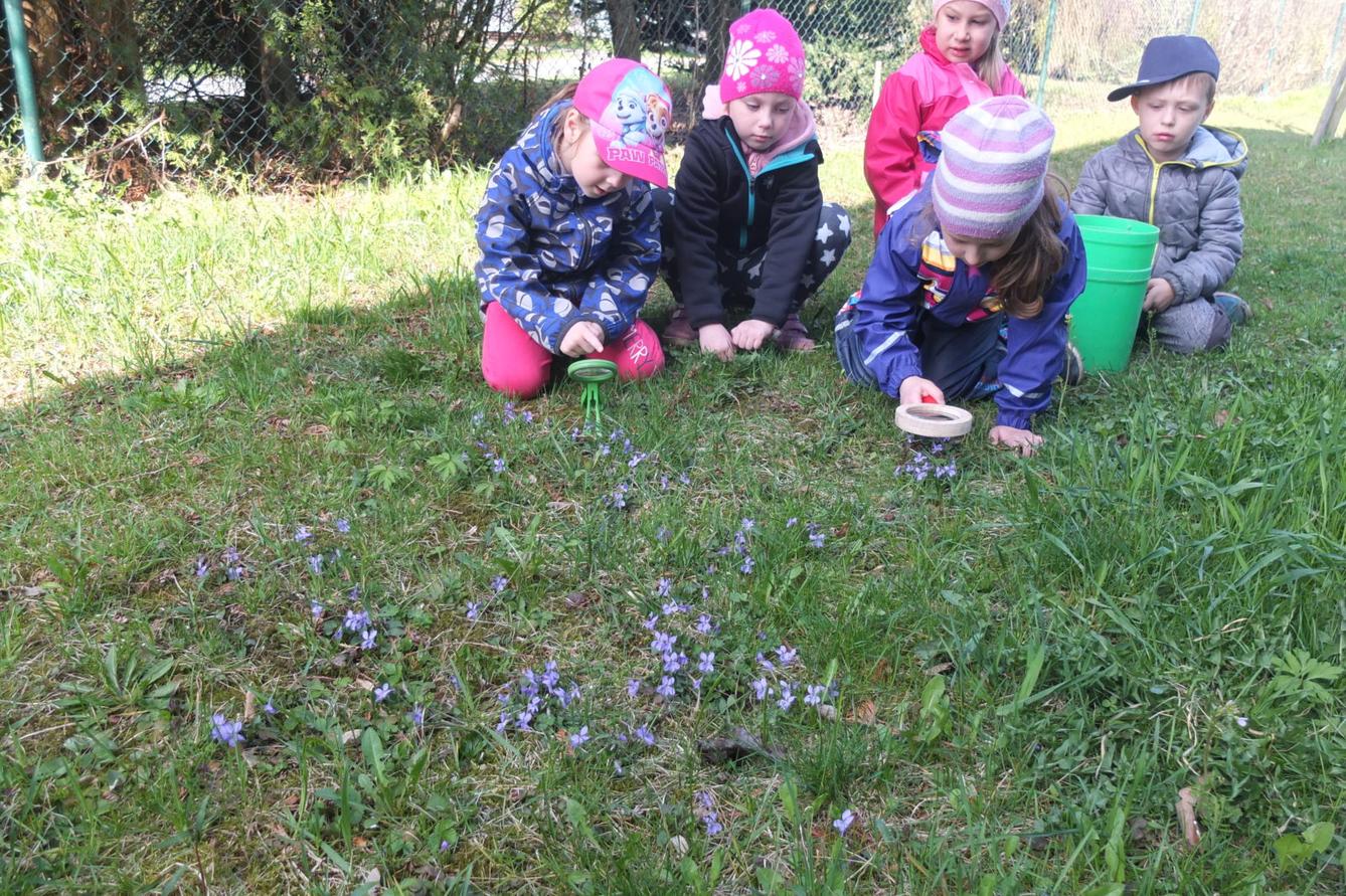 Sázení keříků s rodiči - 10