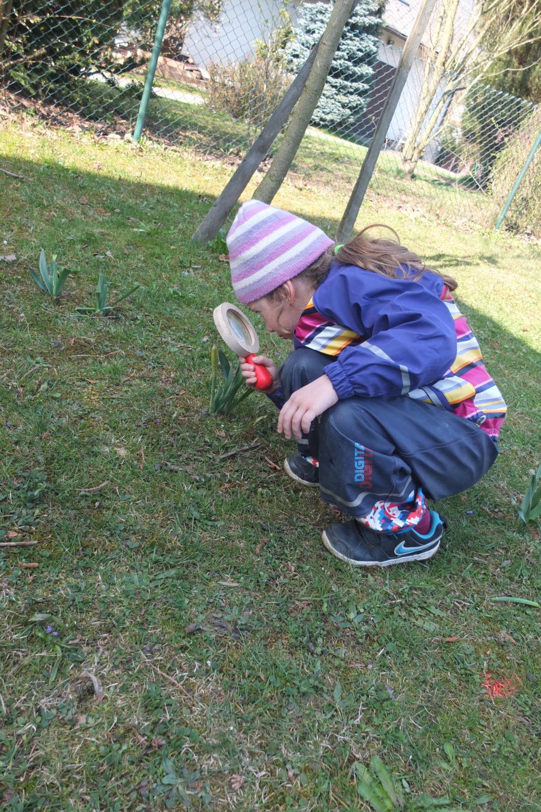 Sázení keříků s rodiči - 11