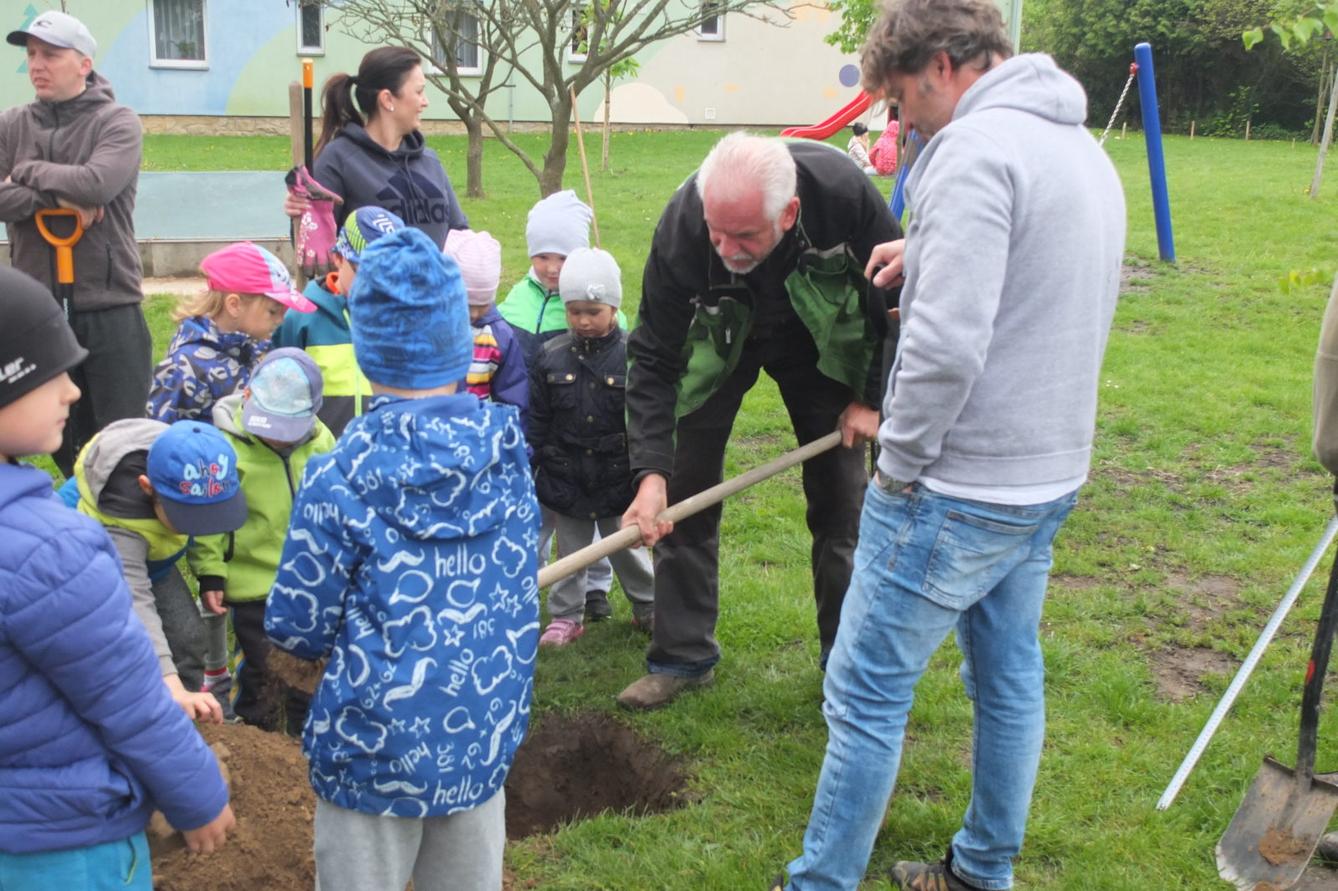 Sázení keříků s rodiči - 13