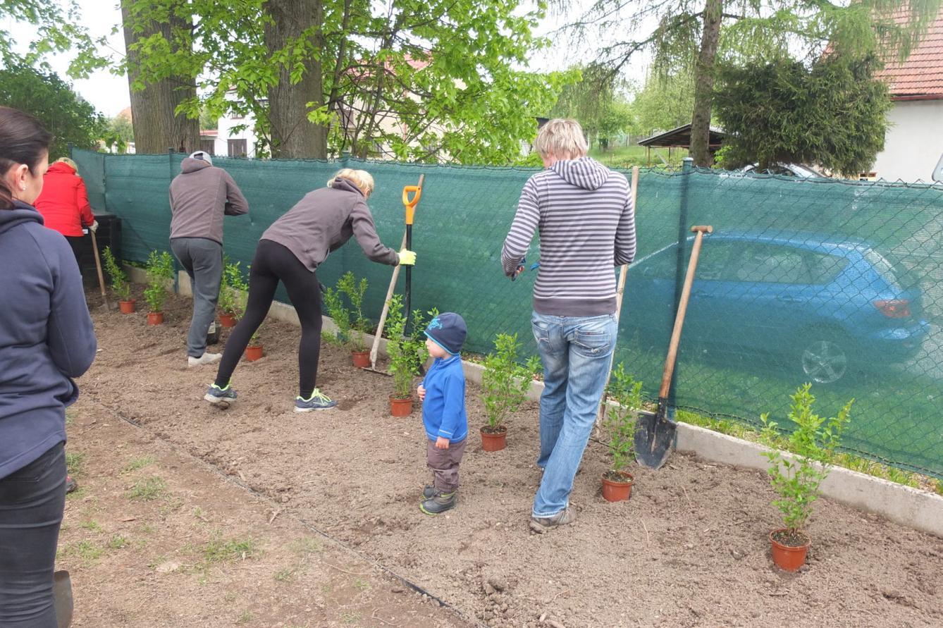 Sázení keříků s rodiči - 16