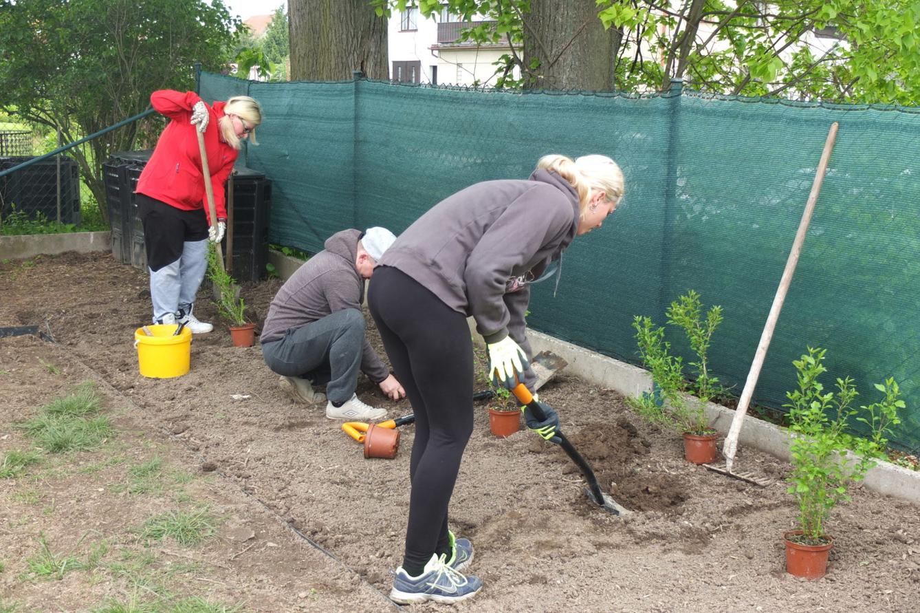 Sázení keříků s rodiči - 17