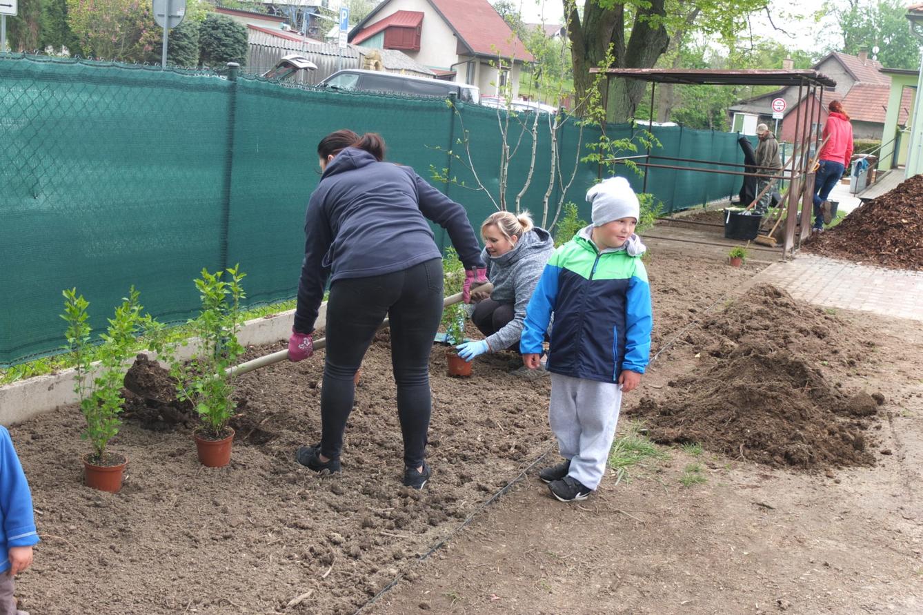 Sázení keříků s rodiči - 19