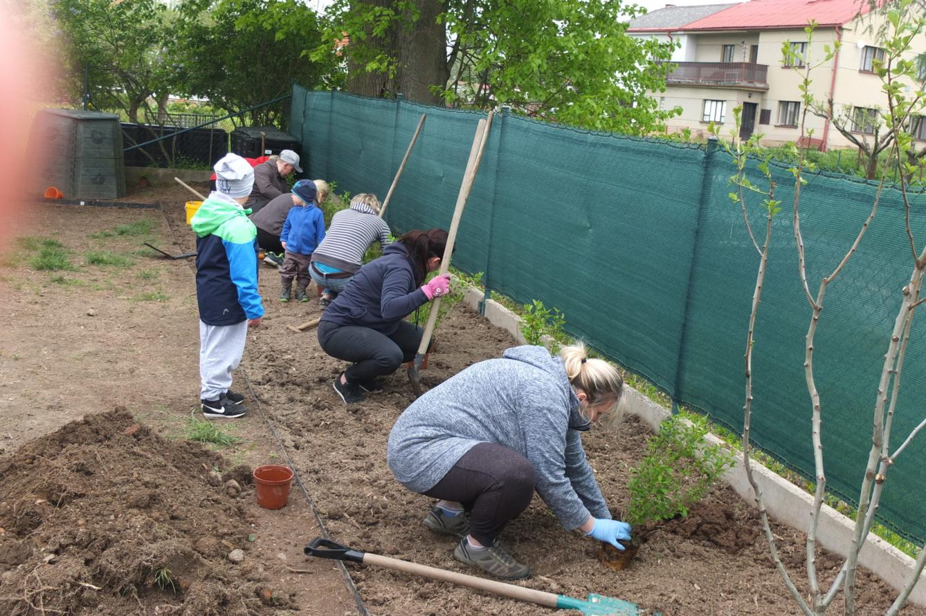 Sázení keříků s rodiči - 21