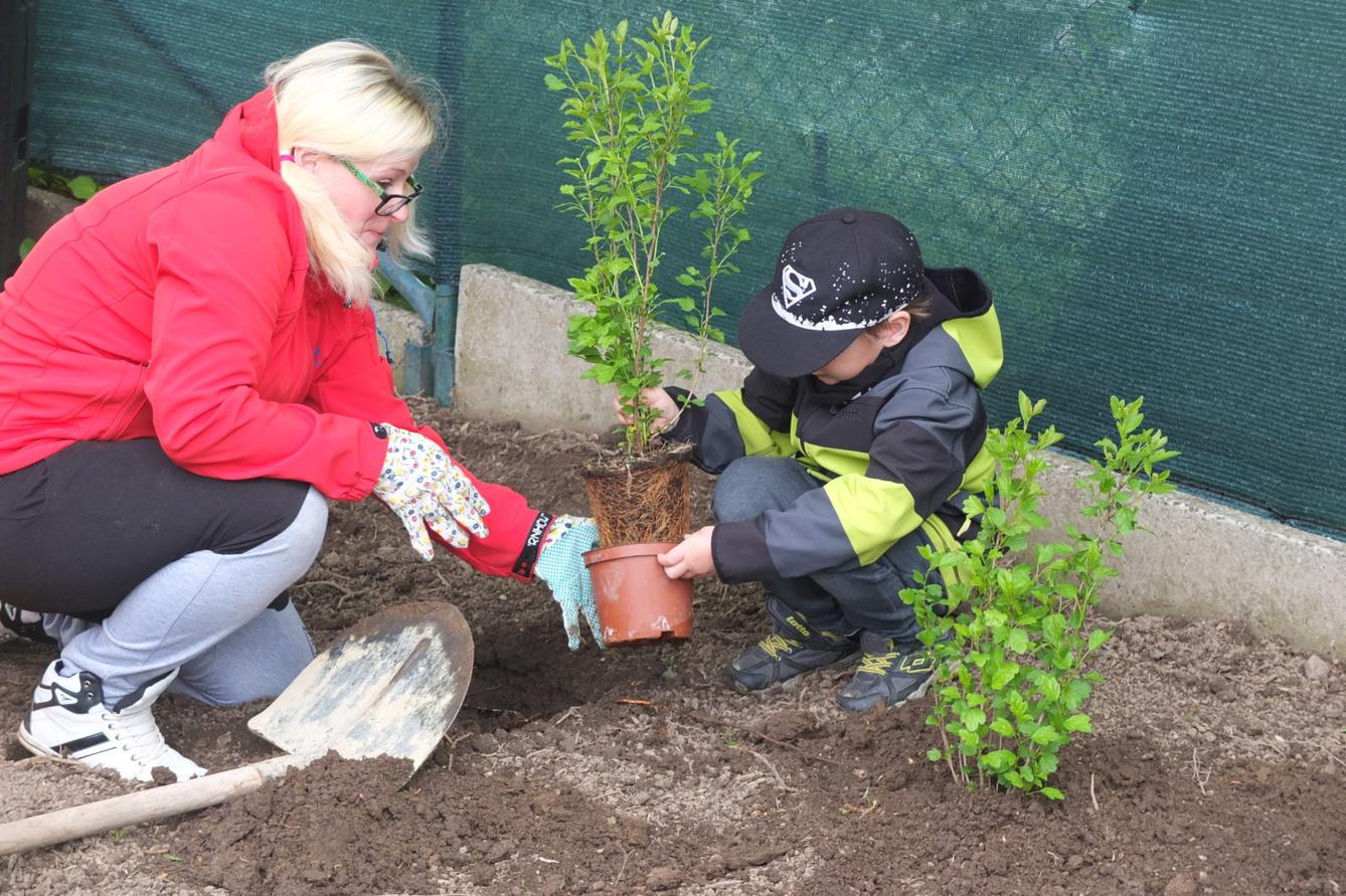 Sázení keříků s rodiči - 25