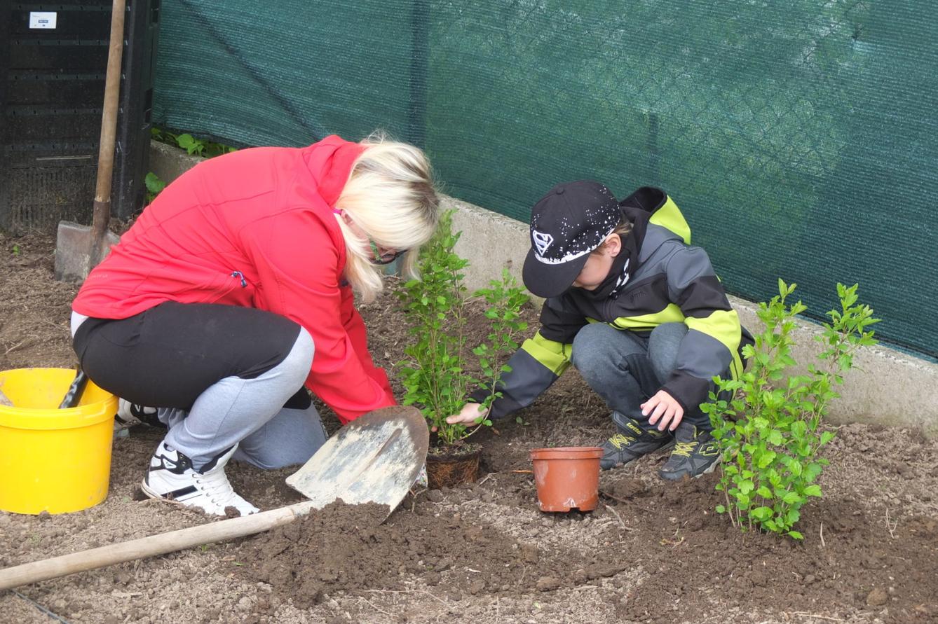 Sázení keříků s rodiči - 26