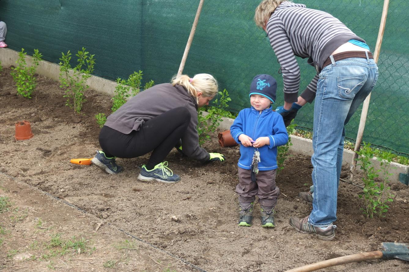Sázení keříků s rodiči - 27