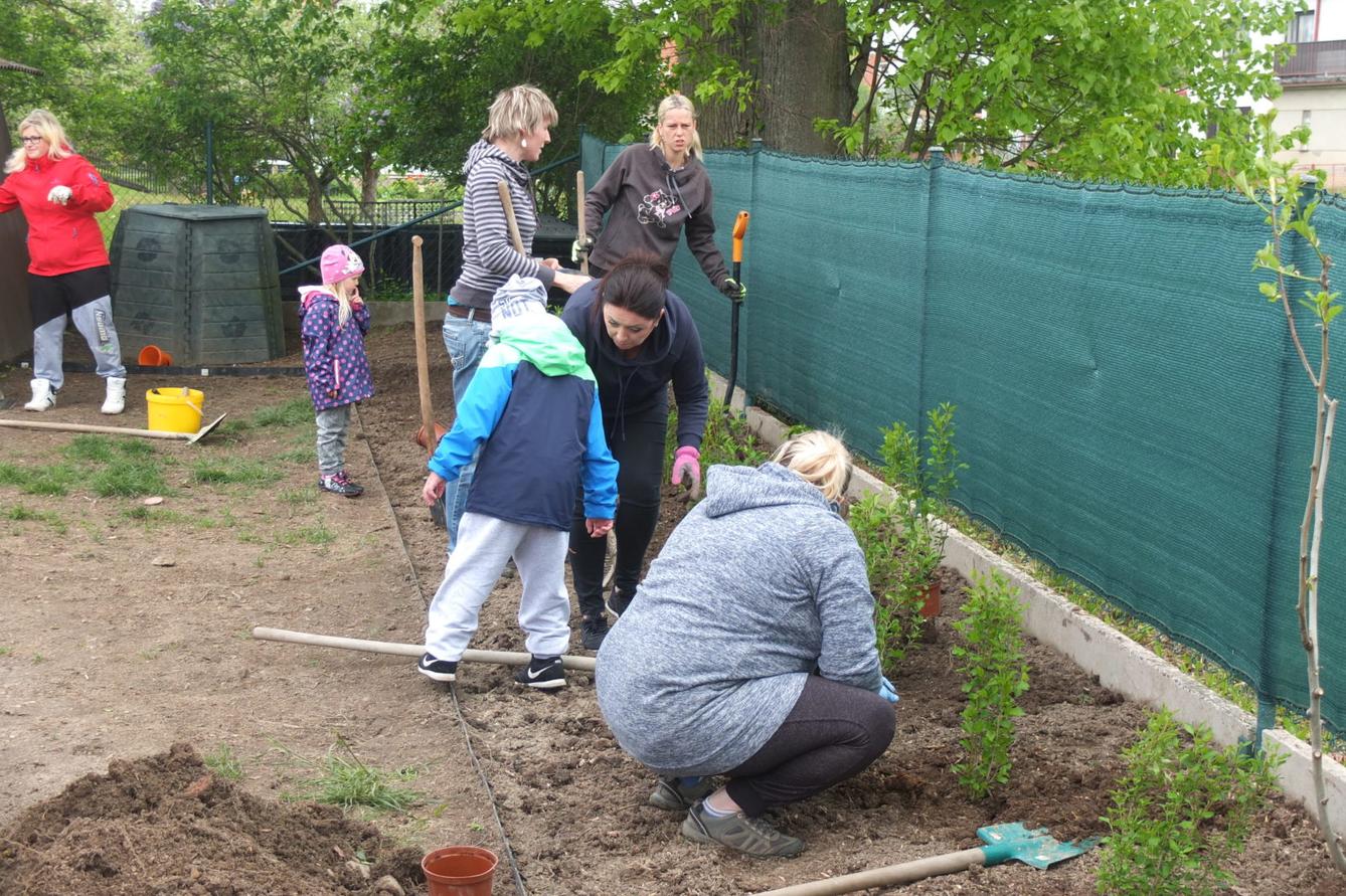 Sázení keříků s rodiči - 29