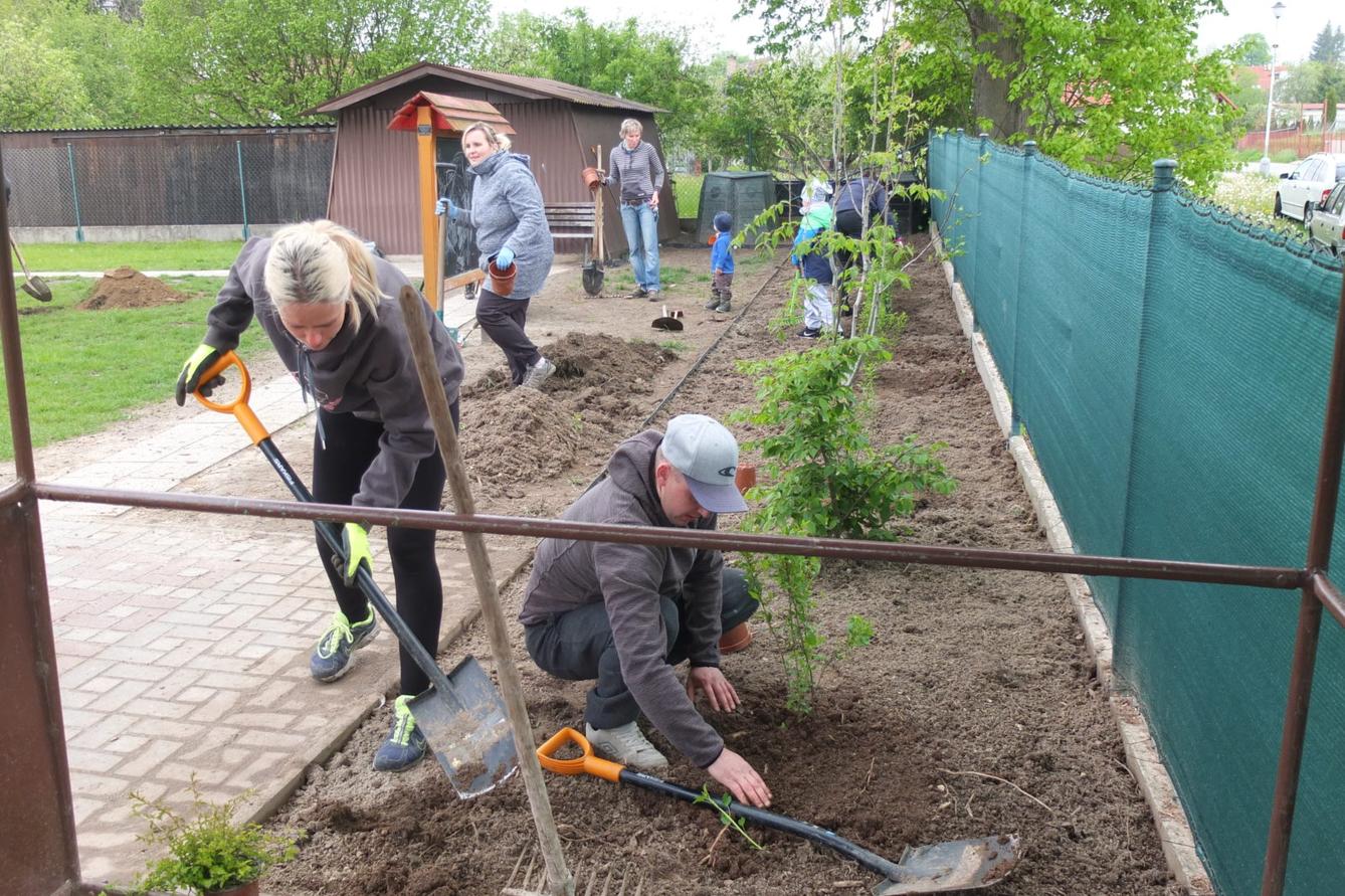 Sázení keříků s rodiči - 34