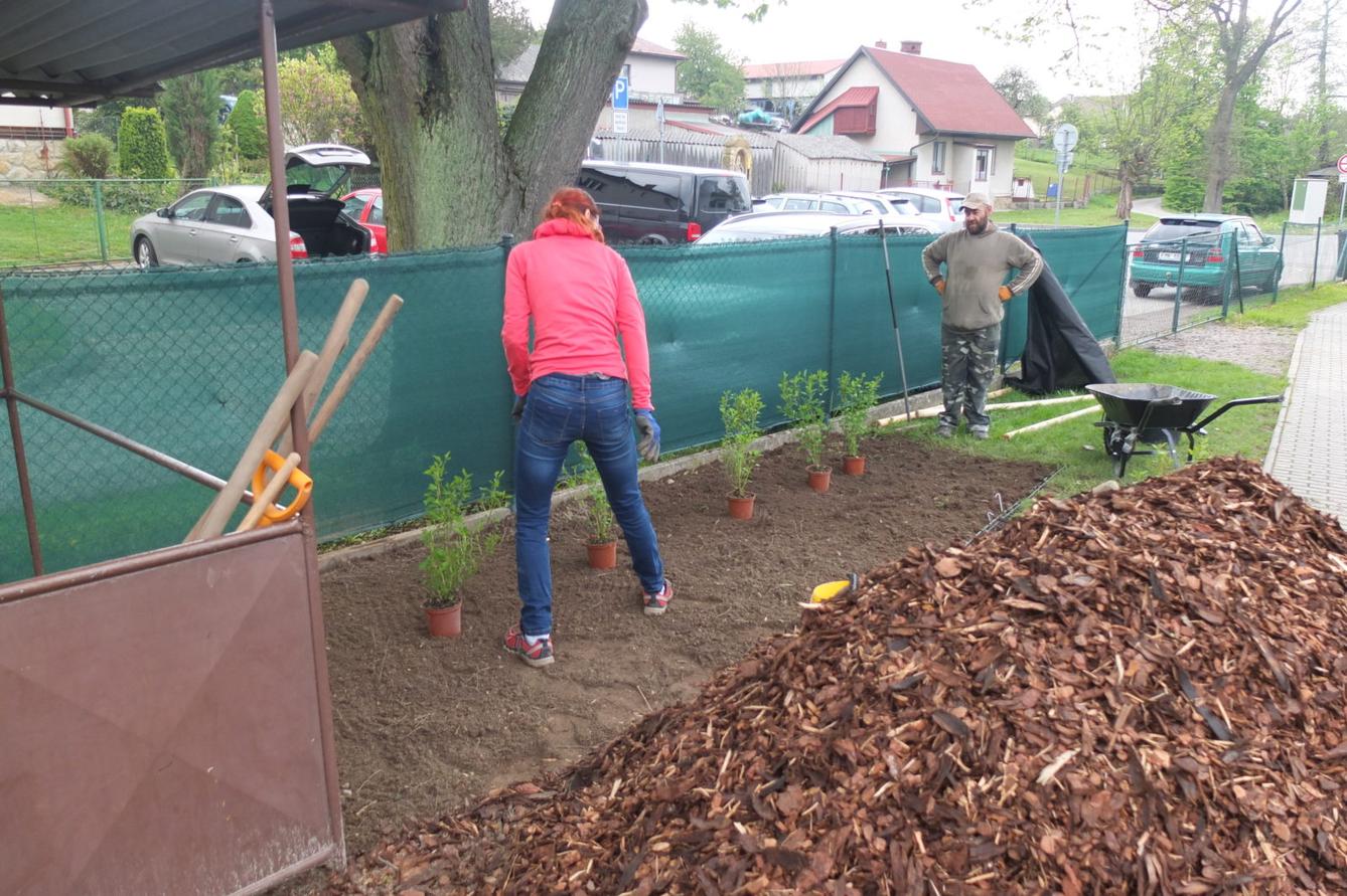 Sázení keříků s rodiči - 36