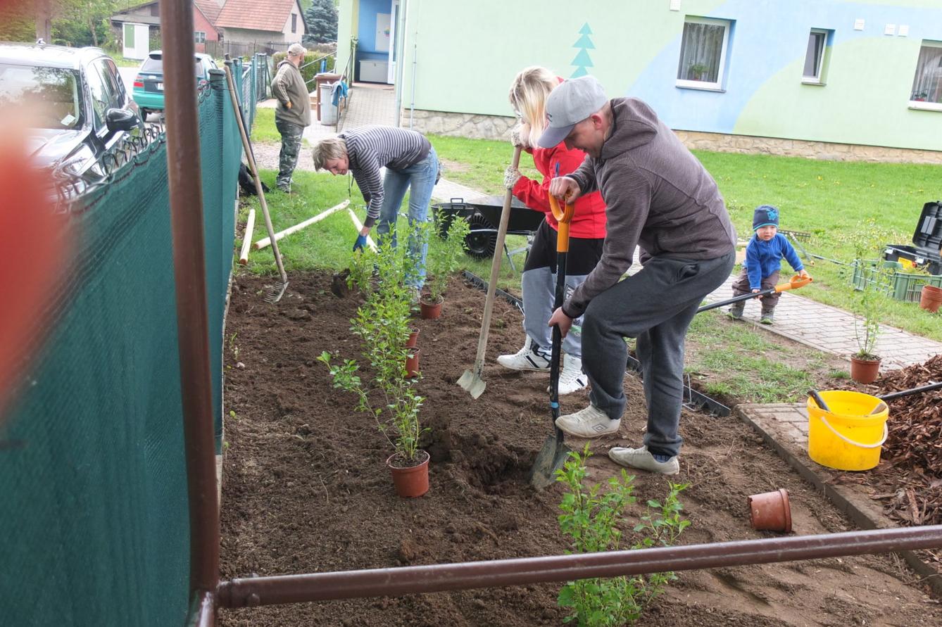 Sázení keříků s rodiči - 40
