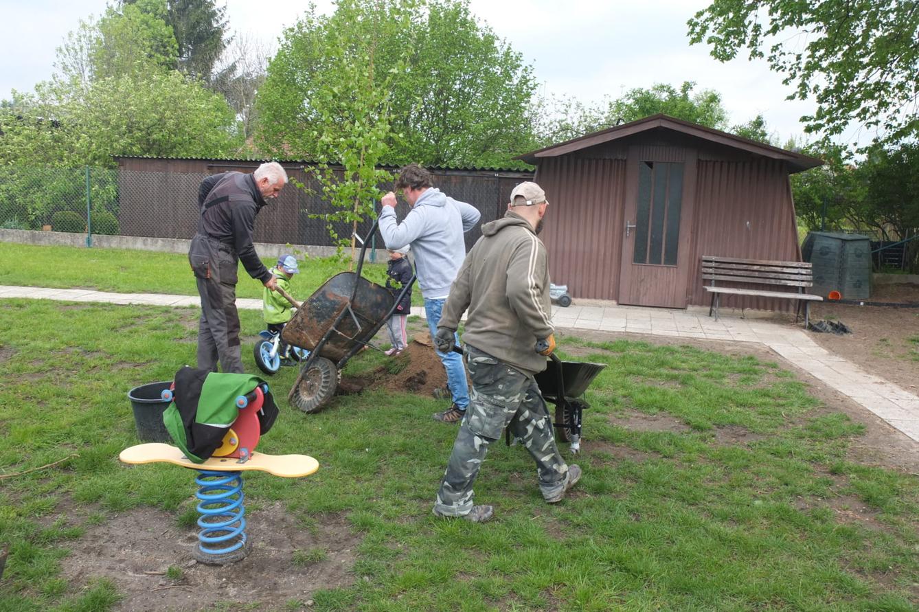 Sázení keříků s rodiči - 46