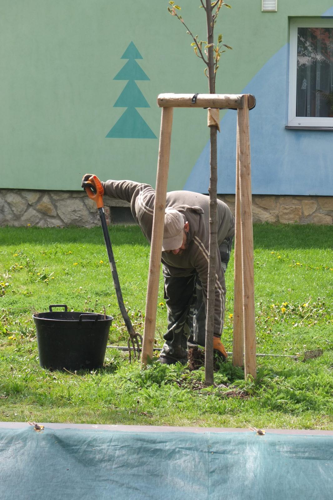 Sázení keříků s rodiči - 53