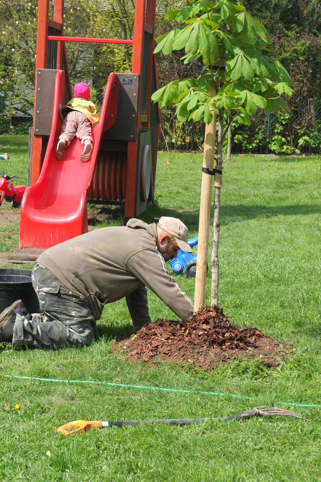 Sázení keříků s rodiči - 62