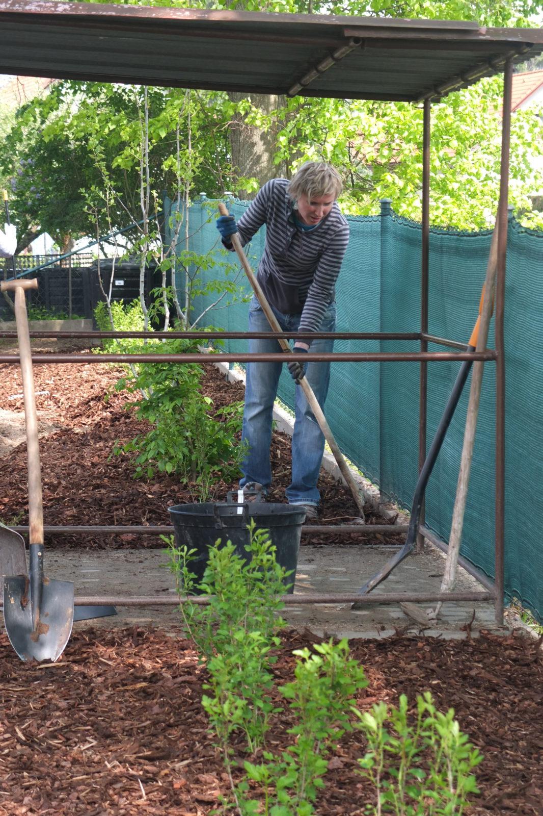 Sázení keříků s rodiči - 65