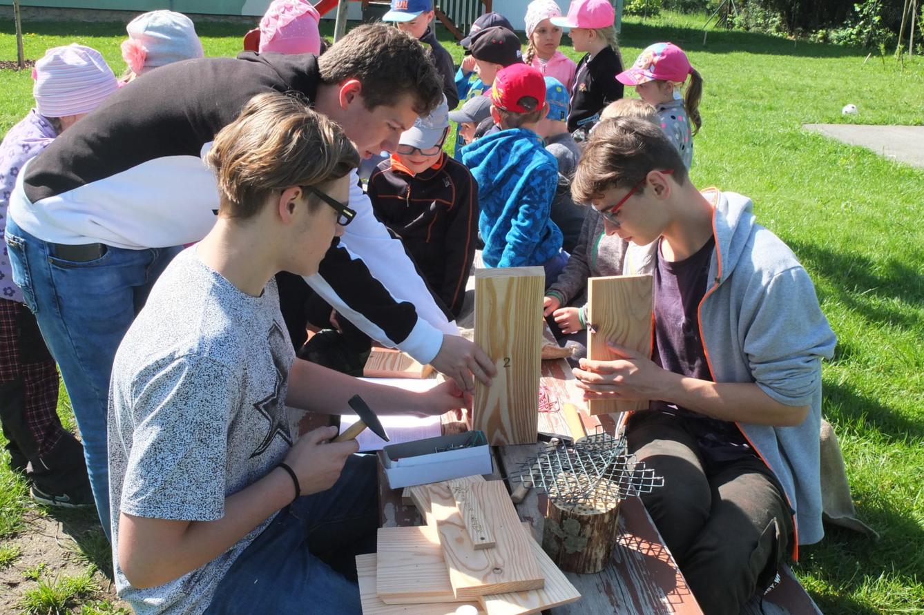 Tvorba hmyzích domečků s deváťáky - 3