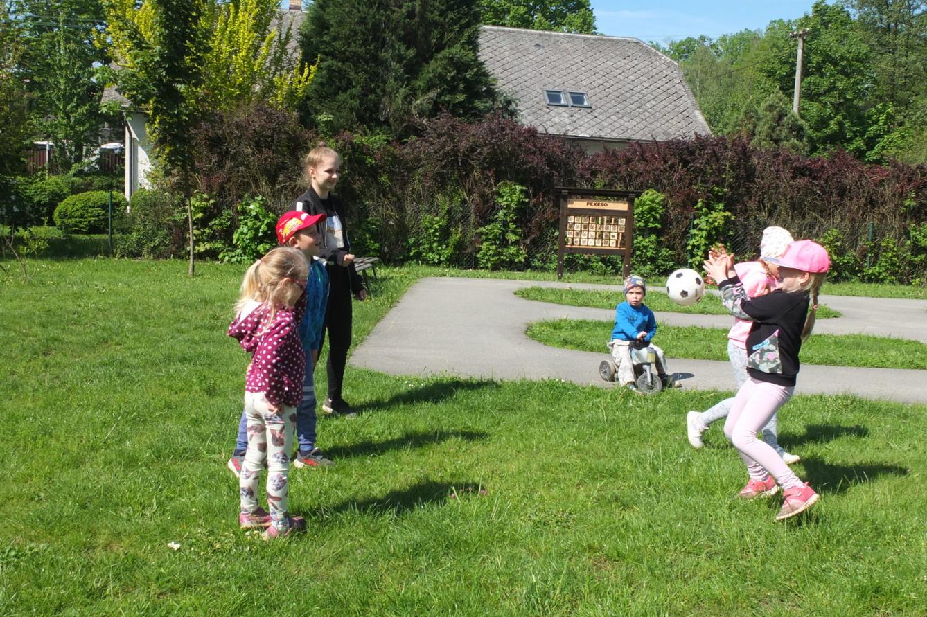 Tvorba hmyzích domečků s deváťáky - 24