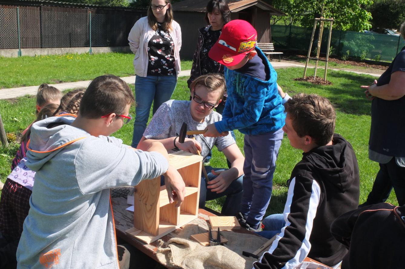Tvorba hmyzích domečků s deváťáky - 31