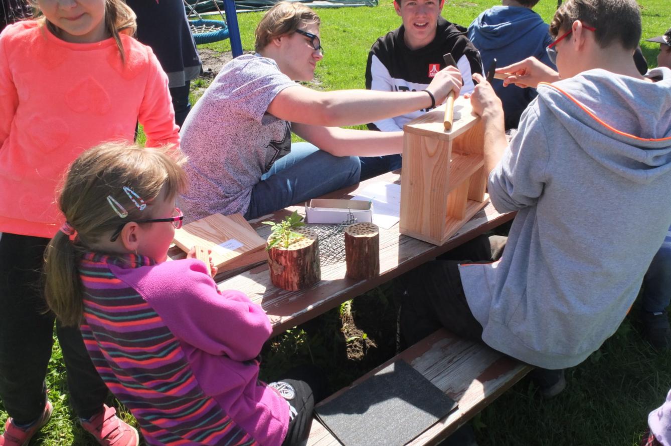 Tvorba hmyzích domečků s deváťáky - 35