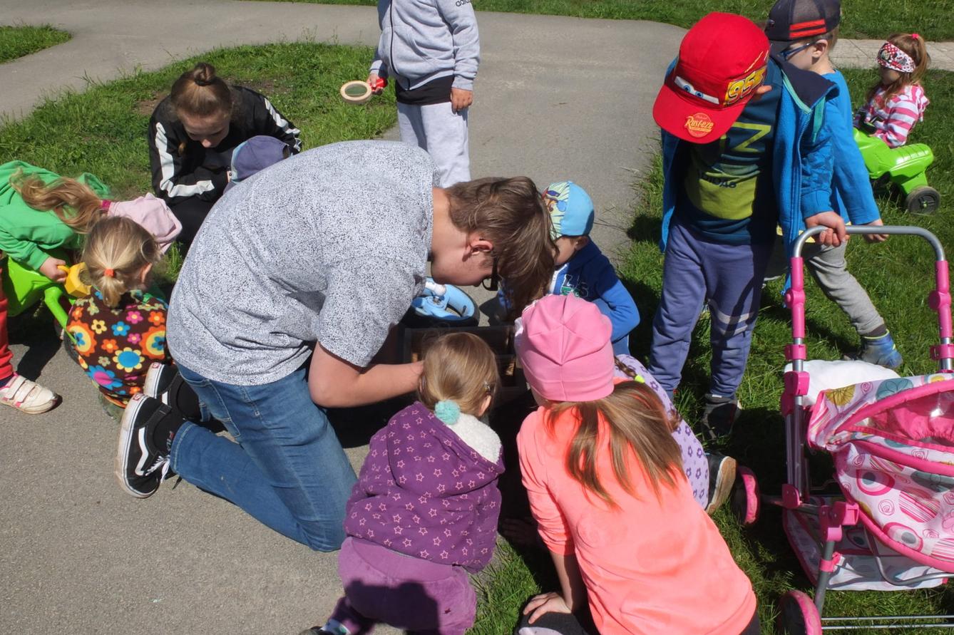 Tvorba hmyzích domečků s deváťáky - 45