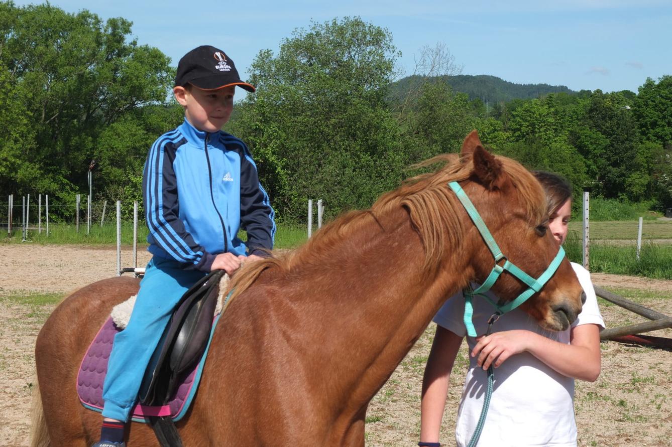 Na koních 2019 - 26