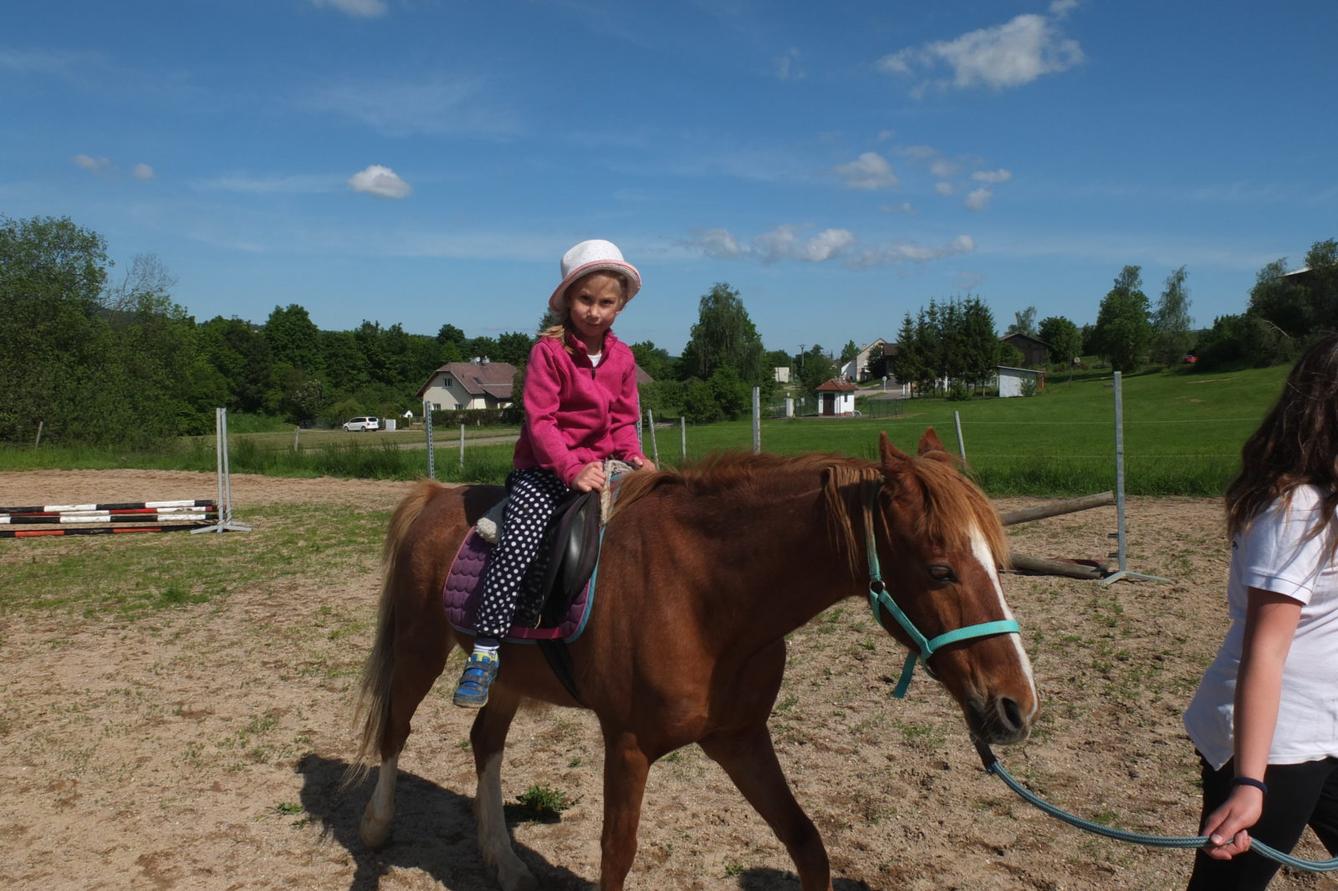 Na koních 2019 - 39