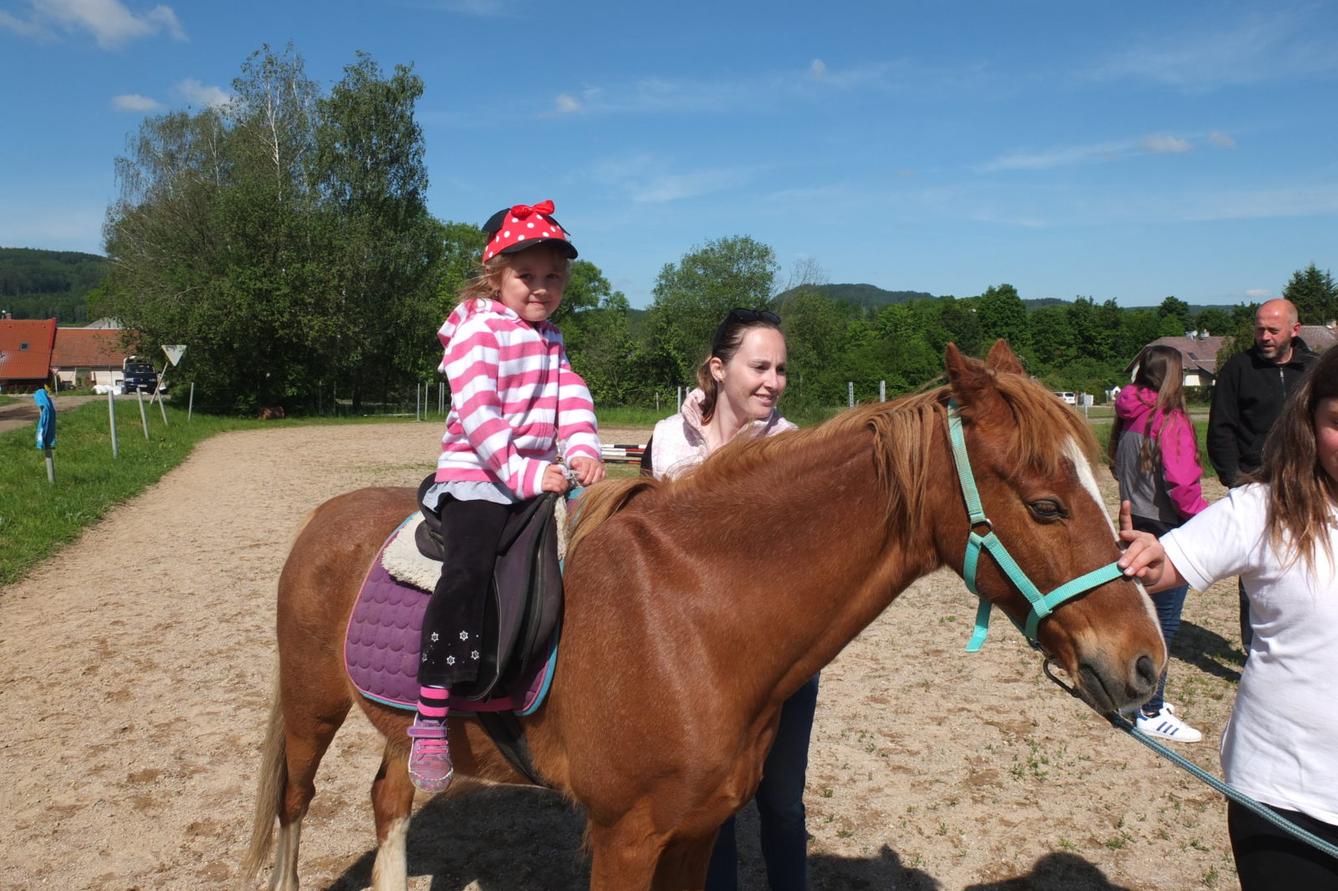 Na koních 2019 - 43