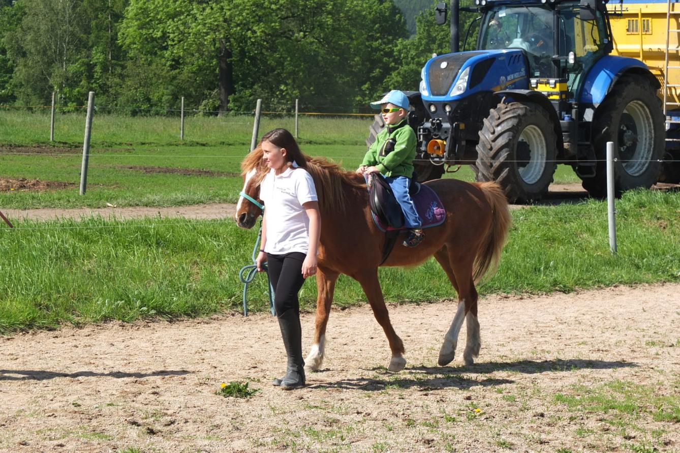 Na koních 2019 - 48