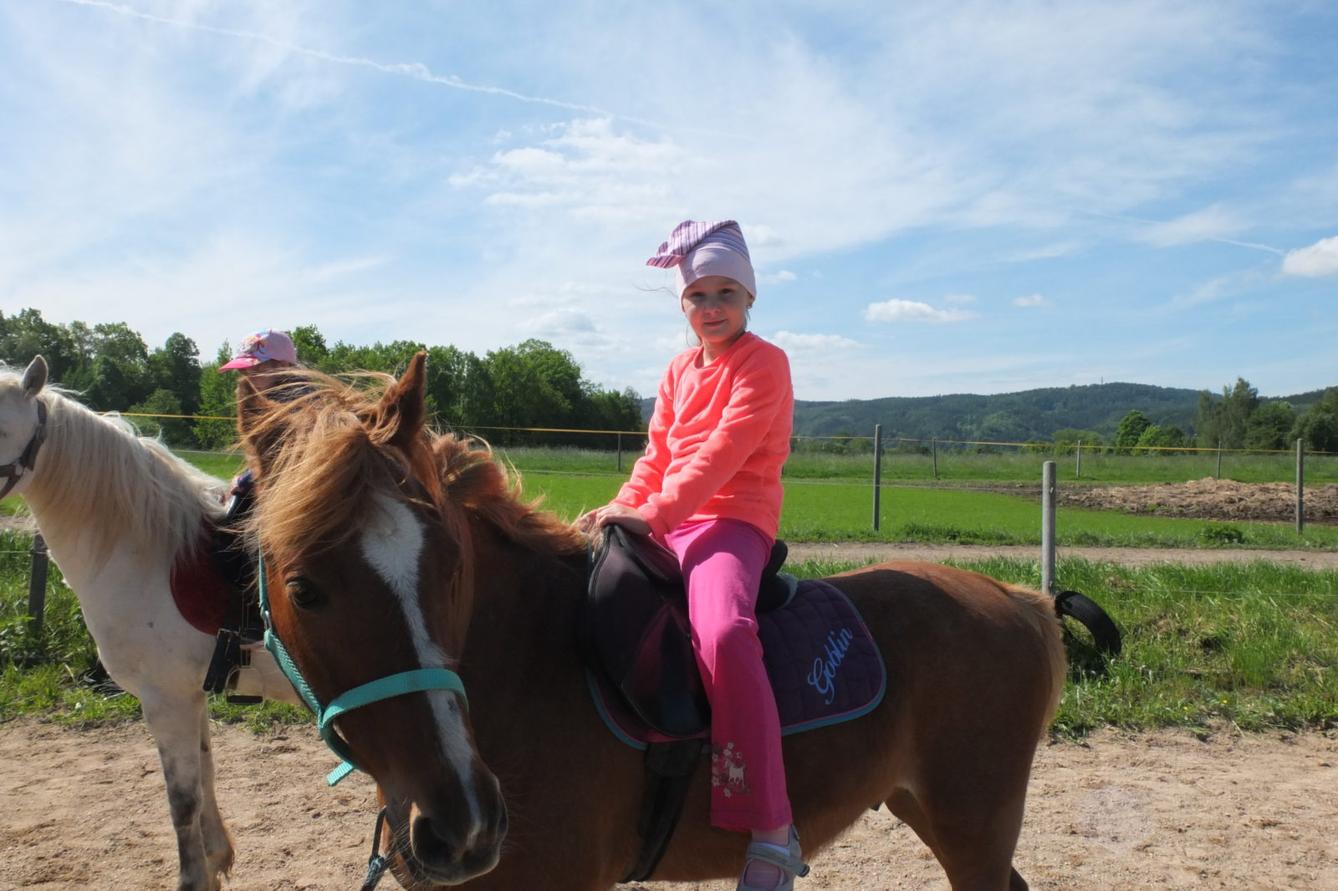 Na koních 2019 - 63