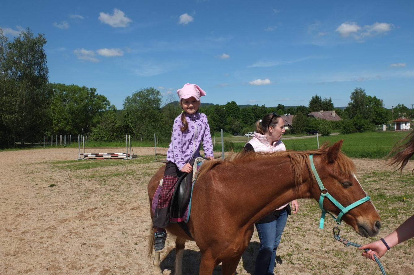 Na koních 2019 - 64