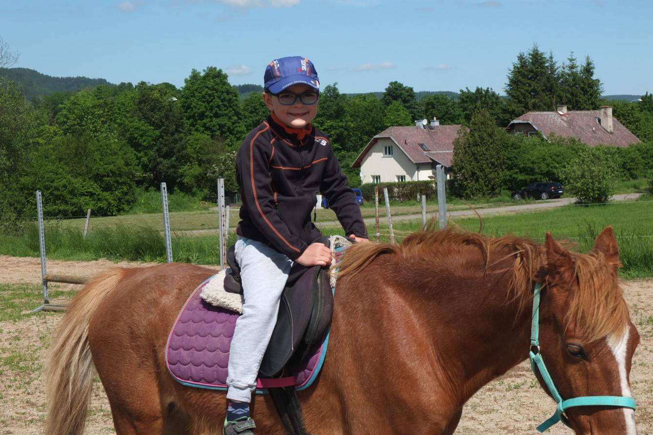 Na koních 2019 - 67