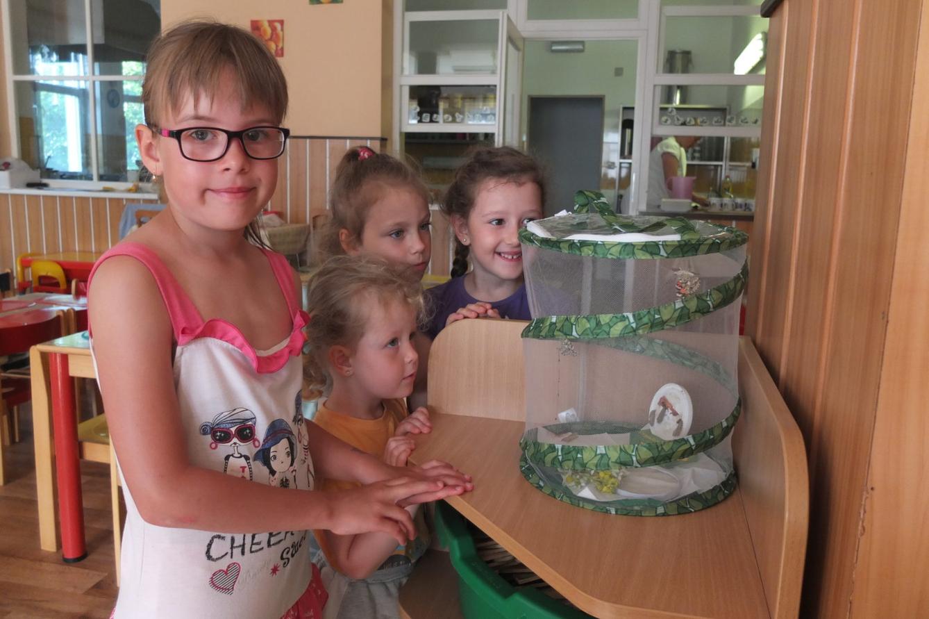 Kouzlo-přeměna housenek v kukly a vypouštění motýlků - 1