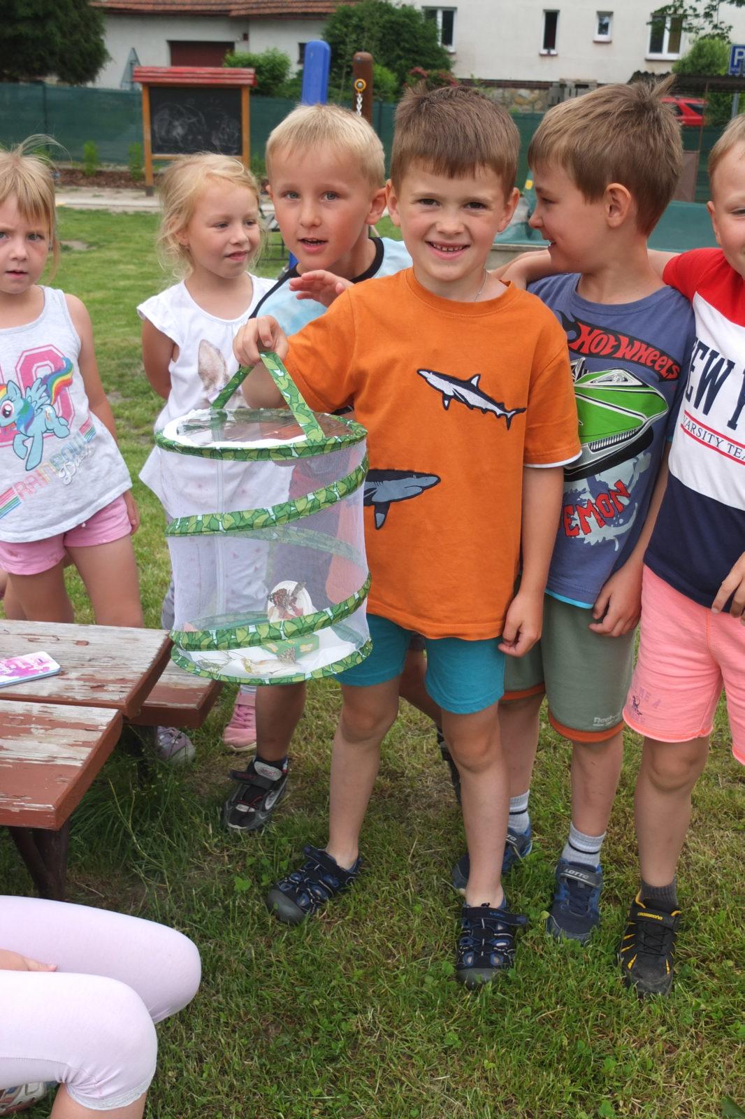 Kouzlo-přeměna housenek v kukly a vypouštění motýlků - 4