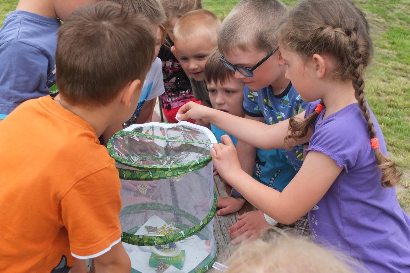 Kouzlo-přeměna housenek v kukly a vypouštění motýlků - 9