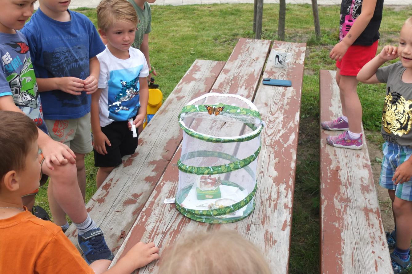 Kouzlo-přeměna housenek v kukly a vypouštění motýlků - 12