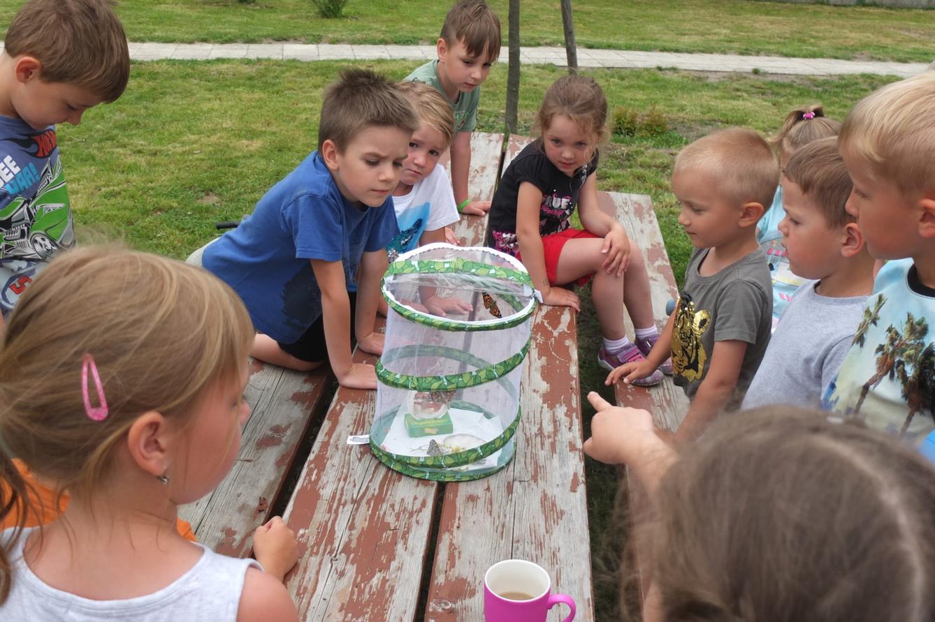 Kouzlo-přeměna housenek v kukly a vypouštění motýlků - 13