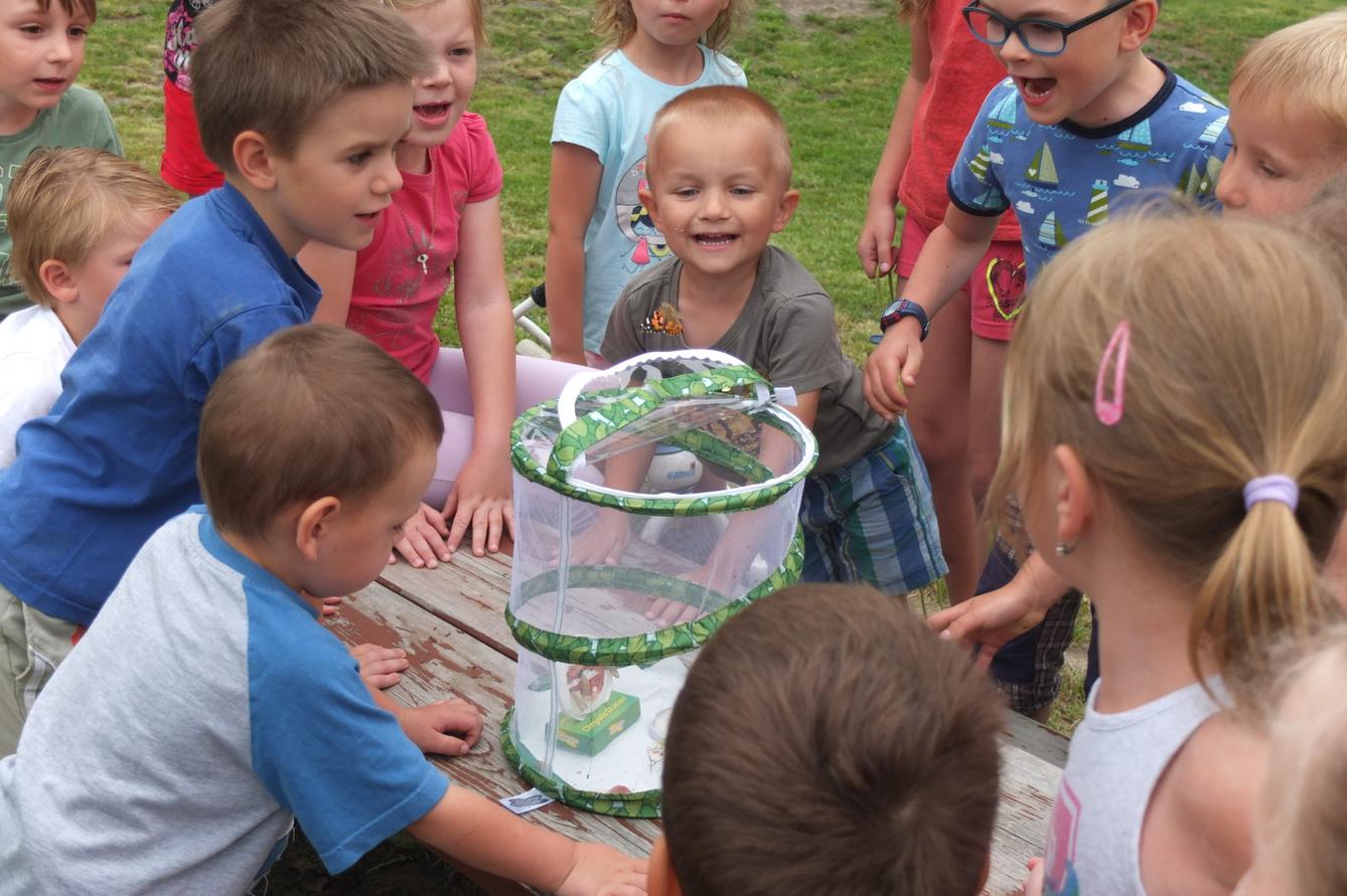 Kouzlo-přeměna housenek v kukly a vypouštění motýlků - 14