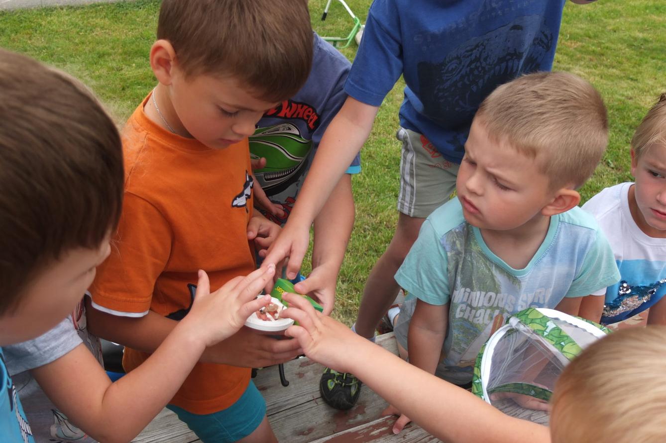 Kouzlo-přeměna housenek v kukly a vypouštění motýlků - 18