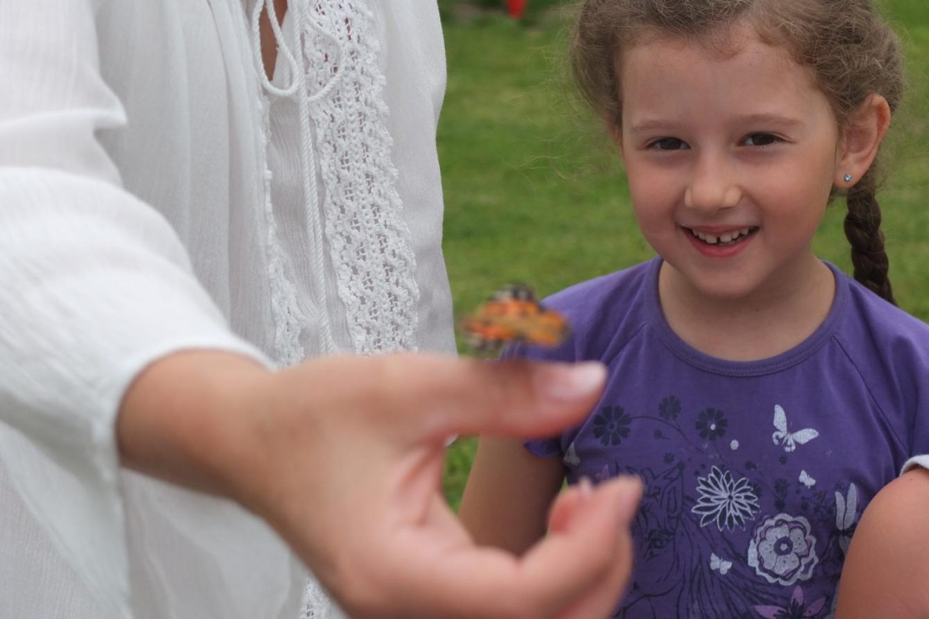 Kouzlo-přeměna housenek v kukly a vypouštění motýlků - 21