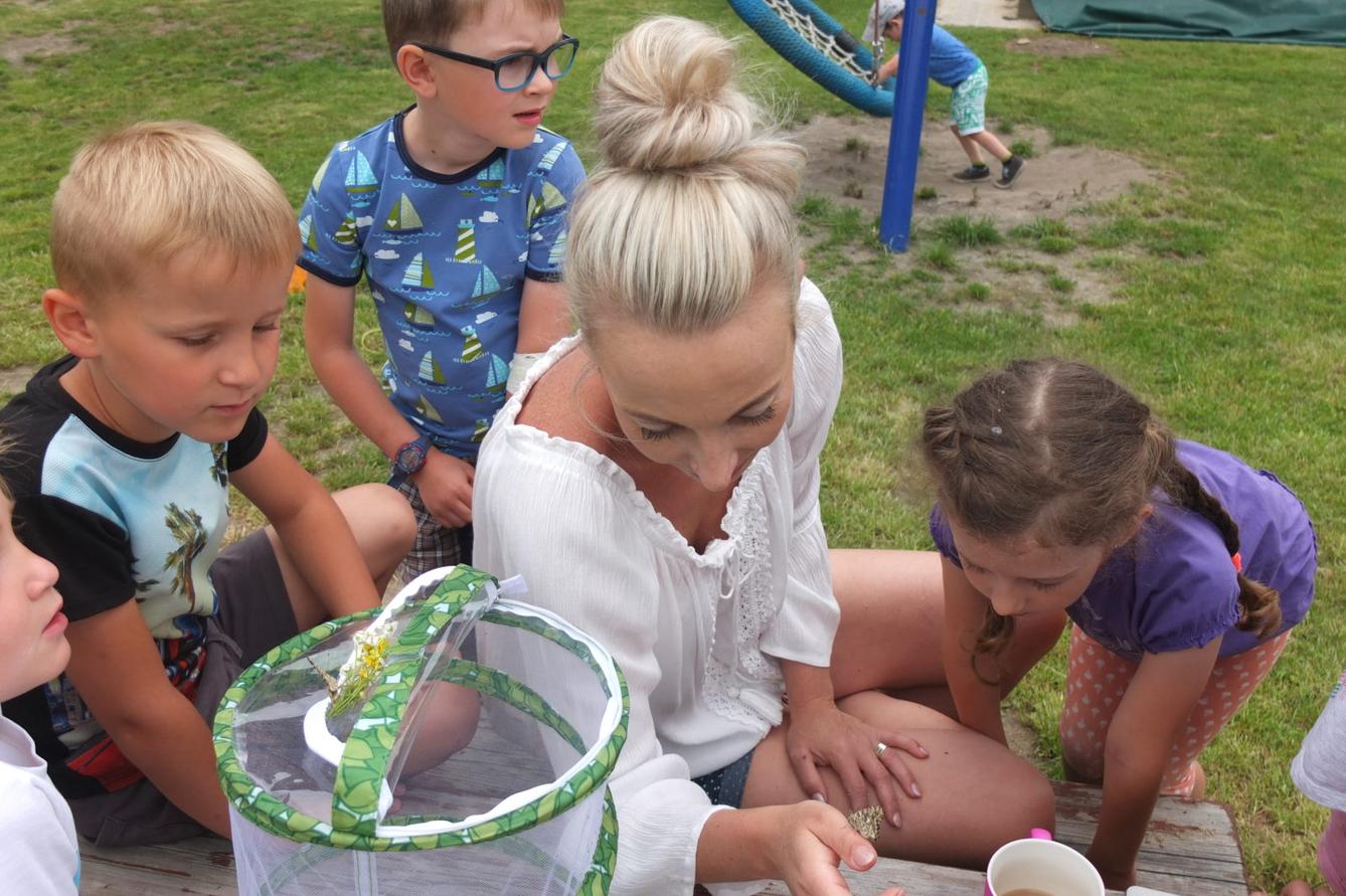 Kouzlo-přeměna housenek v kukly a vypouštění motýlků - 24