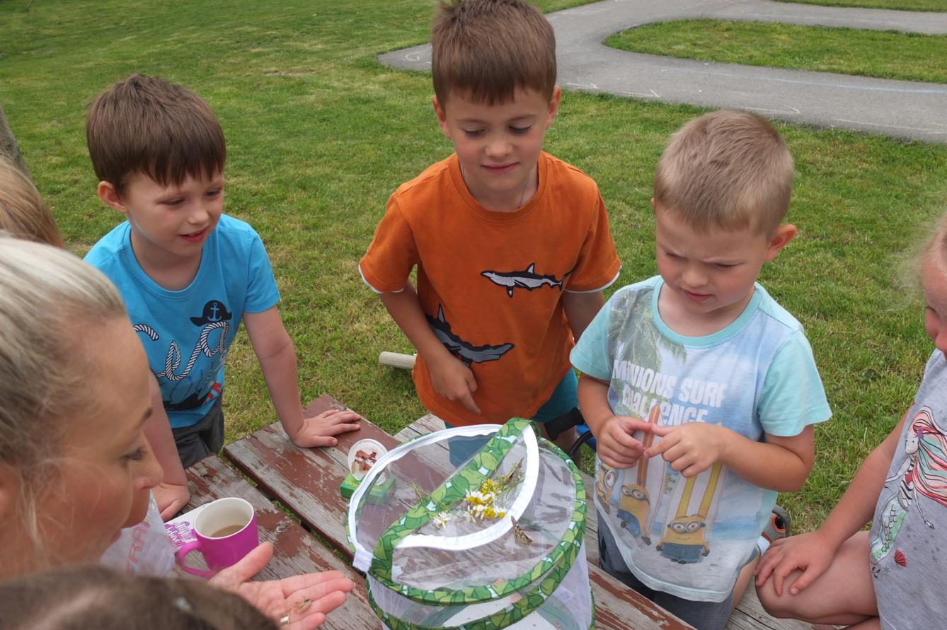 Kouzlo-přeměna housenek v kukly a vypouštění motýlků - 26