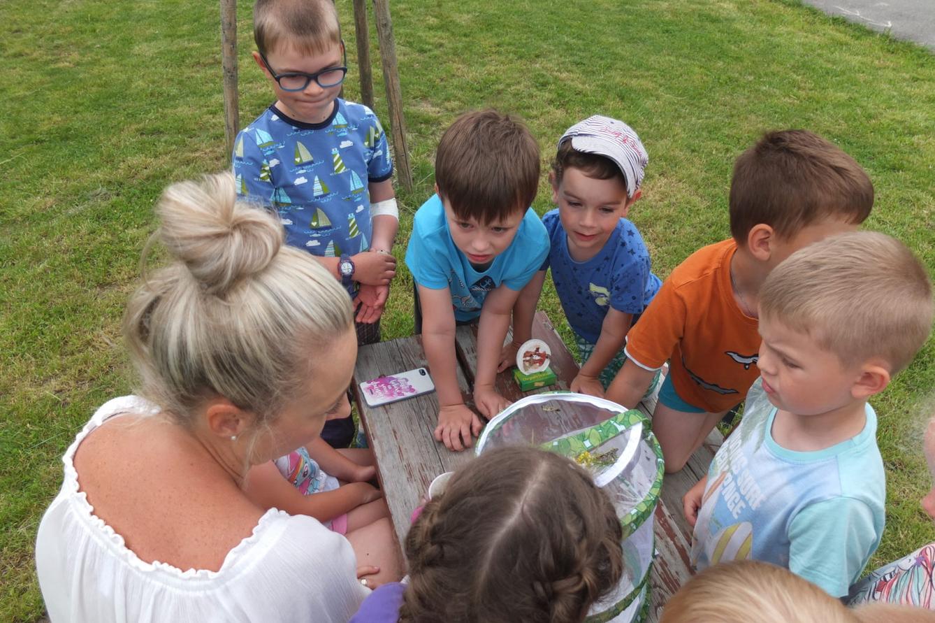 Kouzlo-přeměna housenek v kukly a vypouštění motýlků - 27