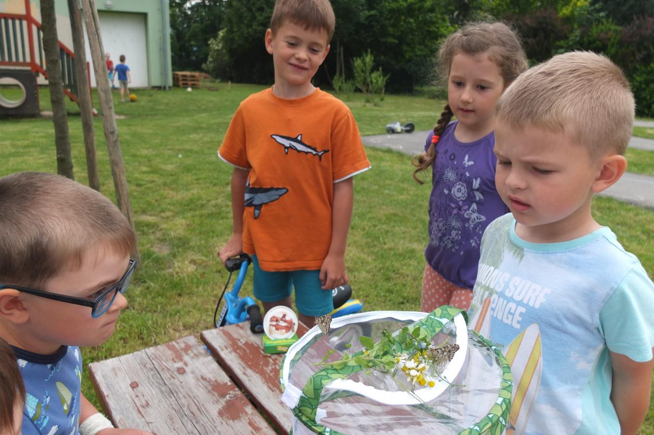 Kouzlo-přeměna housenek v kukly a vypouštění motýlků - 29
