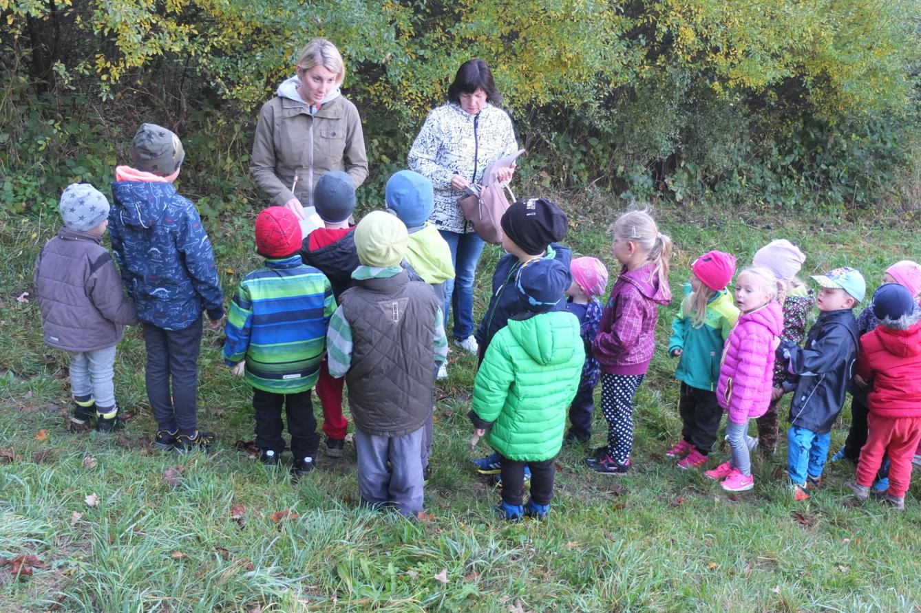 Návštěva kaštanky - 1