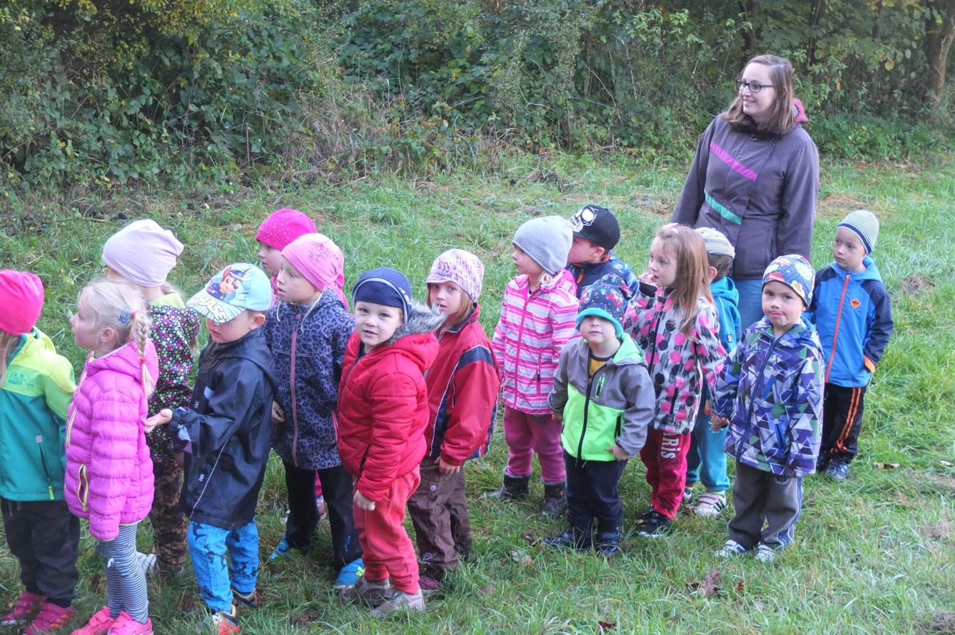 Návštěva kaštanky - 2