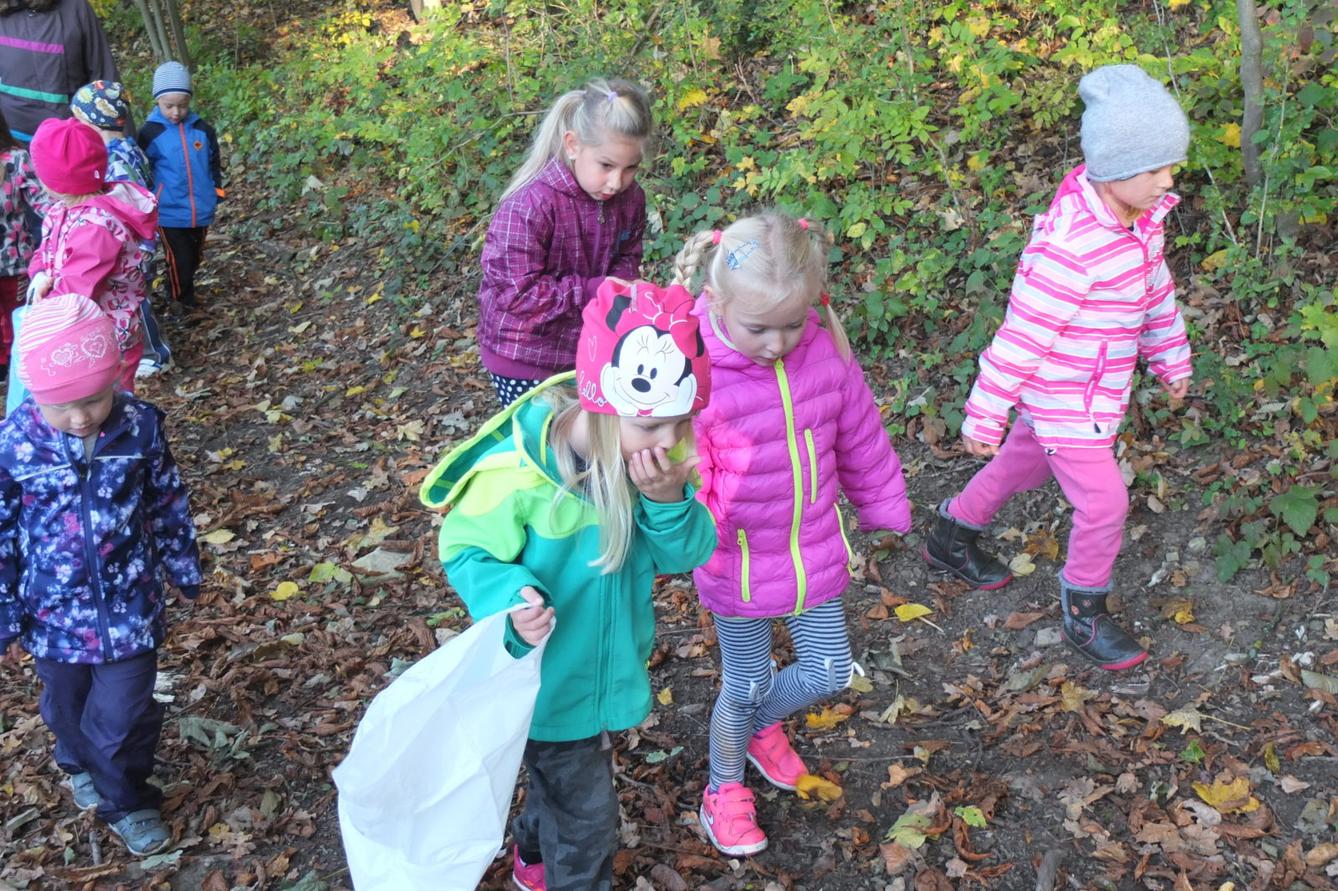 Návštěva kaštanky - 6