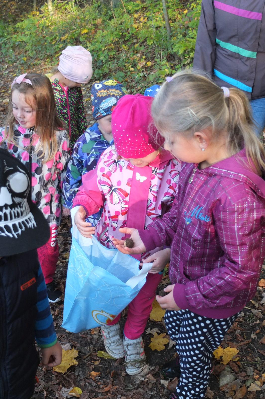 Návštěva kaštanky - 7