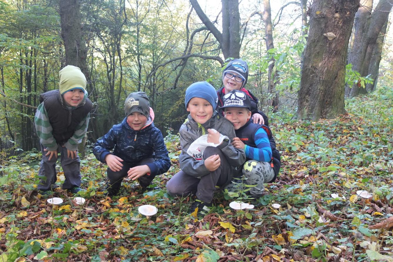 Návštěva kaštanky - 8